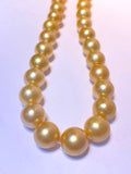 Round 11-13mm golden south sea pearl 35pcs 16inches will be more when strung