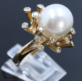 13.5mm South Sea Pearl 14K YellowGold Ring