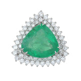 GIA 6.04ct Natural Emerald F1 18K White Gold Ring