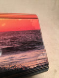Jimmy Choo Ocean Surfer Sunset Print Acrylic Clutch