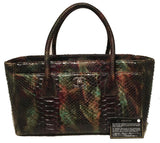 Chanel Green and Brown Multicolor Python Snakeskin Cerf Tote Handbag