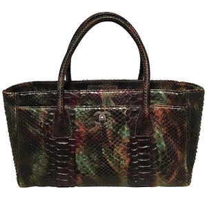 Chanel Green and Brown Multicolor Python Snakeskin Cerf Tote Handbag –  Dignity Jewels Inc.