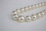 14-17mm South Sea Round Necklace White Rose with Gold Clasp