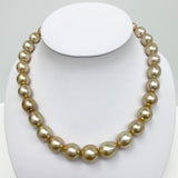 12-14mm Golden South Sea Drop/Oval Pearl Necklace with Gold Clasp