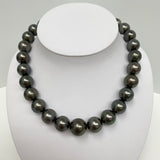 15-17mm Tahitian Dark Green Round Pearl Necklace with Gold Clasp