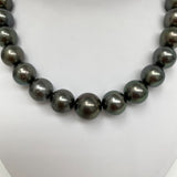 15-17mm Tahitian Dark Green Round Pearl Necklace with Gold Clasp