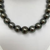15-17mm Tahitian Dark Green Round Pearl Necklace with Gold Clasp