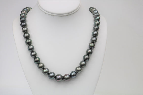 12-14mm Tahitian Peacock Round Necklace with Gold Clasp