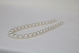 10-12mm South Sea Oval Necklace with Gold Clasp