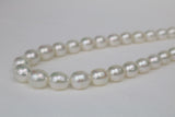10-12mm South Sea Oval Necklace with Gold Clasp
