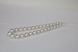 12-16mm South Sea Round White Necklace with Gold Clasp