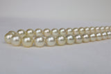 10-12mm Champagne South Sea Round Necklace with Gold Clasp