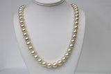 10-12mm Champagne South Sea Round Necklace with Gold Clasp