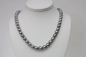 8-10mm Tahitian Silver Round Necklace with Gold Clasp
