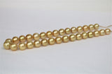 12-14mm South Sea Golden Near Round Necklace with Gold Clasp
