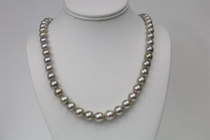 8-10mm Purple Silver Tahitian Round Necklace with Gold Clasp