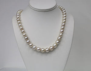 9-11mm Off White Tahitian Round Strand with Gold Clasp