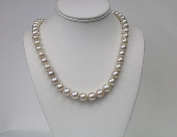9-11mm Off White Tahitian Round Strand with Gold Clasp