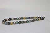 10-12mm Tahitian and Golden South Sea Multi Color Necklace with Gold Clasp