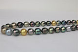 10-12mm Tahitian and Golden South Sea Multi Color Necklace with Gold Clasp