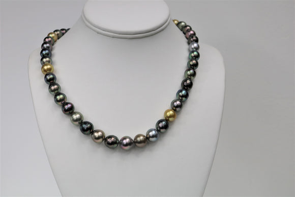 10-12mm Tahitian and Golden South Sea Multi Color Necklace with Gold Clasp