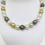 12-14mm South Sea White and Golden and Tahitian Round/Near-Round Pearl Necklace with Gold Clasp