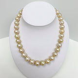 12-14mm South Sea Champagne Round/Near-Round Pearl Necklace with Gold Clasp