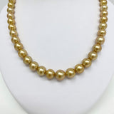 9-12mm South Sea Golden Round Pearl Necklace with Gold Clasp