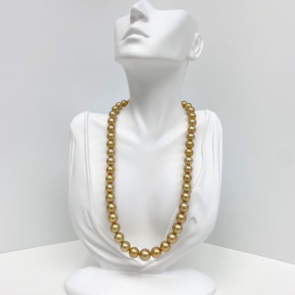 9-12mm South Sea Golden Round Pearl Necklace with Gold Clasp