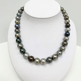 11-13mm Tahitian Multicolor Medium Dark Near-Round Pearl Necklace with Gold Clasp