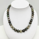 11-12mm Tahitian Multicolor Near-Round Pearl Necklace with Gold Clasp