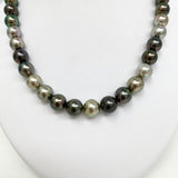11-12mm Tahitian Multicolor Near-Round Pearl Necklace with Gold Clasp