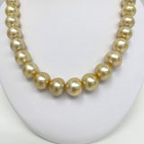 13-16mm South Sea Medium Golden Button Pearl Necklace with Gold Clasp