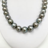 14-16mm Tahitian Silver Gray Near-Round Pearl Necklace with Gold Clasp
