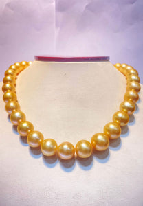 Round 11-13mm golden south sea pearl 35pcs 16inches will be more when strung
